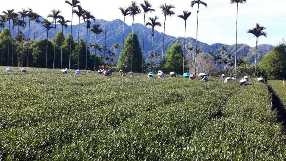 Riley Ming Xuan B&B Meishan Εξωτερικό φωτογραφία