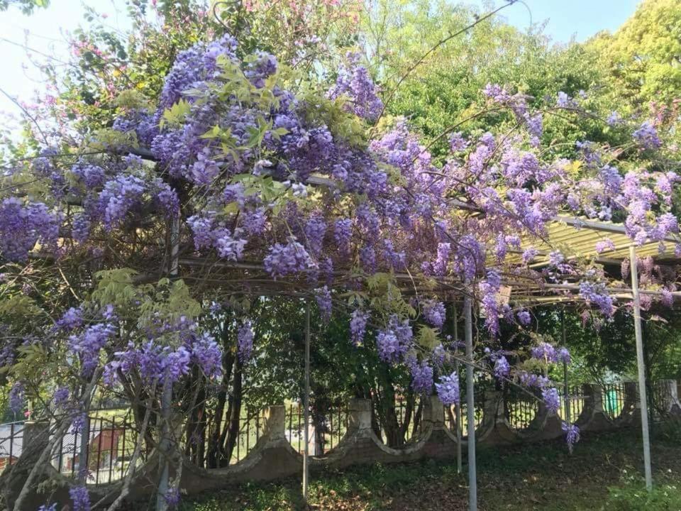 Riley Ming Xuan B&B Meishan Εξωτερικό φωτογραφία